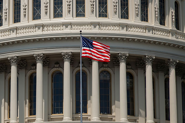 Institutional Accordion Doors and Roll-Up Doors: Government/Civic/Military